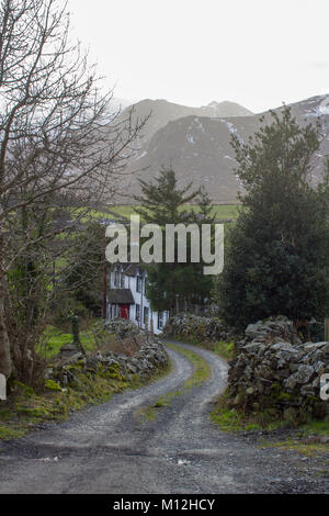 Un viale alberato di avvolgimento corsia di ghiaia nelle montagne di Mourne in Irlanda del Nord che conduce ad una splendida casa di campagna su un giorno buio in gennaio. Foto Stock