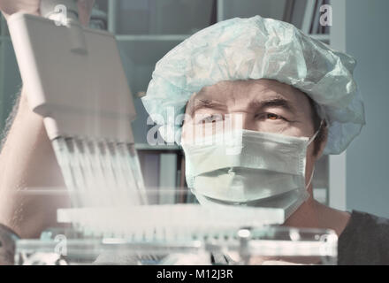 Senior Scientist carichi piastra PCR per l'analisi del DNA con pipette multicanale Foto Stock