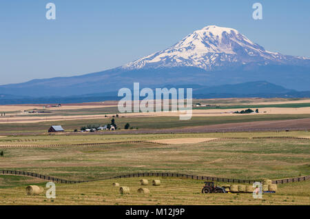 Cascina e il fieno imballato con il Monte Adams in lontananza vicino Goldendale, Washington, Stati Uniti d'America Foto Stock