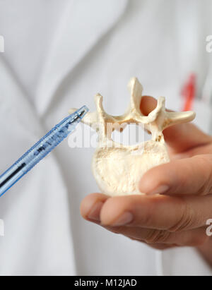 Primo piano su un modello di vertebra umana nella mano di un praticante heath rivolta verso di essa. Foto Stock