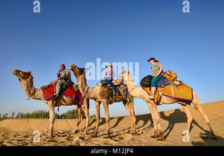 Passeggiate a dorso di cammello nel deserto del Thar, Rajasthan, India