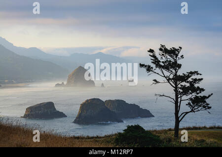 Shore pine e vista di Haystack Rock in Cannon Beach da Ecola State Park, Nord Oregon Coast. Foto Stock