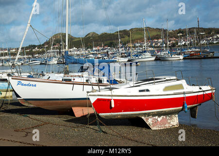 Porto di Conway, Angelsey Galles del Nord Foto Stock