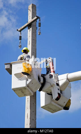 Caguas, Porto Rico, Ottobre 31, 2017 - Puerto Rico Energia Elettrica competente personale lavora per ripristinare l'alimentazione dopo l uragano Maria seriamente danneggiato di Puerto Rico potenza elettrica infrastruttura di grid. Yuisa Rios/FEMA Foto Stock
