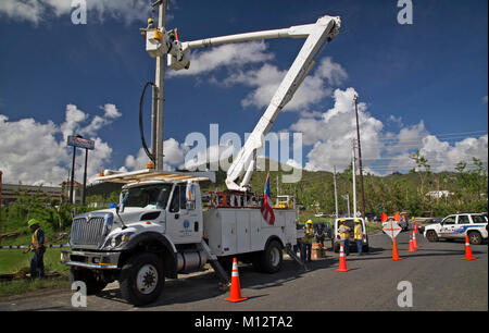 Caguas, Porto Rico, Ottobre 31, 2017 - Puerto Rico Energia Elettrica competente personale lavora per ripristinare l'alimentazione dopo l uragano María seriamente danneggiato di Puerto Rico potenza elettrica infrastruttura di grid. Yuisa Rios/FEMA Foto Stock