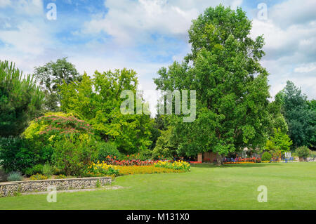 D'estate il parco, prato verde e blu cielo Foto Stock