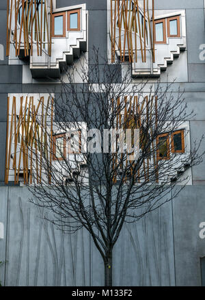 Pensate a cialde o spazi contemplativi nell'architettura moderna del parlamento Scozzese di Enric Mirales, Holyrood, Edimburgo, Scozia, Regno Unito Foto Stock