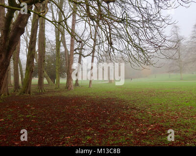 Il Parco di Christchurch, Ipswich. 26 gen, 2018. Regno Unito: Meteo nebbia e freddo inverno mattina nel Parco di Christchurch, Ipswich, Suffolk. Credito: Angela Chalmers/Alamy Live News Foto Stock