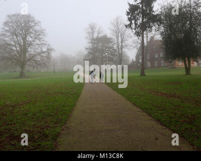 Il Parco di Christchurch, Ipswich. 26 gen, 2018. Regno Unito: Meteo nebbia e freddo inverno mattina per due escursionisti in Christchurch Park, Ipswich, Suffolk. Credito: Angela Chalmers/Alamy Live News Foto Stock