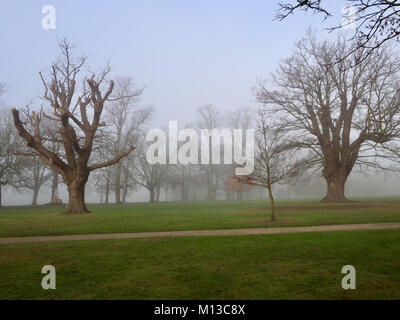 Il Parco di Christchurch, Ipswich. 26 gen, 2018. Regno Unito: Meteo nebbia e freddo inverno mattina nel Parco di Christchurch, Ipswich, Suffolk. Credito: Angela Chalmers/Alamy Live News Foto Stock