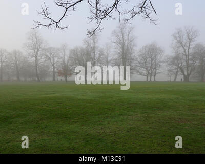 Il Parco di Christchurch, Ipswich. 26 gen, 2018. Regno Unito: Meteo nebbia e freddo inverno mattina nel Parco di Christchurch, Ipswich, Suffolk. Credito: Angela Chalmers/Alamy Live News Foto Stock