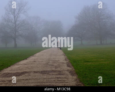 Il Parco di Christchurch, Ipswich. 26 gen, 2018. Regno Unito: Meteo nebbia e freddo inverno mattina per un camminatore solitario e il suo cane nel Parco di Christchurch, Ipswich, Suffolk. Credito: Angela Chalmers/Alamy Live News Foto Stock