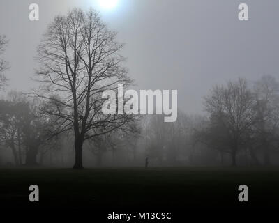 Il Parco di Christchurch, Ipswich. 26 gen, 2018. Regno Unito: Meteo lotte alla luce del sole attraverso il velo su una nebbia scura e freddo inverno mattina nel Parco di Christchurch, Ipswich, Suffolk. Credito: Angela Chalmers/Alamy Live News Foto Stock