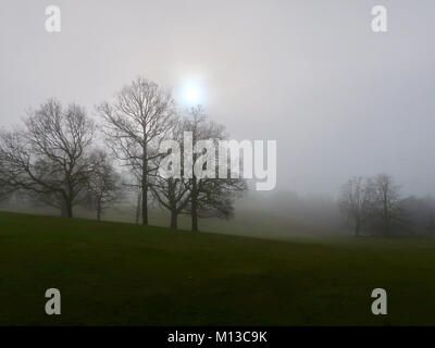 Il Parco di Christchurch, Ipswich. 26 gen, 2018. Regno Unito: Meteo lotte alla luce del sole attraverso il velo su una nebbia scura e freddo inverno mattina nel Parco di Christchurch, Ipswich, Suffolk. Credito: Angela Chalmers/Alamy Live News Foto Stock