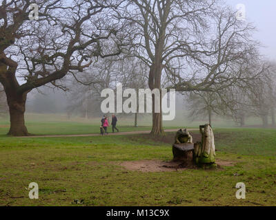 Il Parco di Christchurch, Ipswich. 26 gen, 2018. Regno Unito: Meteo nebbia e freddo inverno mattina presso il banco di rana in Christchurch Park, Ipswich, Suffolk. Credito: Angela Chalmers/Alamy Live News Foto Stock