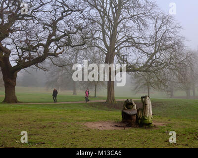 Il Parco di Christchurch, Ipswich. 26 gen, 2018. Regno Unito: Meteo nebbia e freddo inverno mattina presso il banco di rana in Christchurch Park, Ipswich, Suffolk. Credito: Angela Chalmers/Alamy Live News Foto Stock