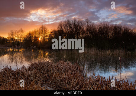 Barton-su-Humber, UK. Il 26 gennaio 2018. Meteo REGNO UNITO: Sunrise su un Lincolnshire Wildlife Trust Riserva Naturale, Barton-su-Humber, North Lincolnshire, Regno Unito. Il 26 gennaio 2018. Credito: LEE BEEL/Alamy Live News Foto Stock