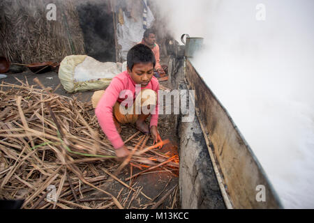 Operaio bengalese Babu, 12, bolle di sap della data Palm tree per preparare Jiggery. Foto Stock