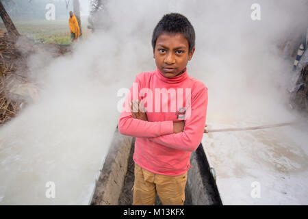 Operaio bengalese Babu, 12, bolle di sap della data Palm tree per preparare Jiggery. Foto Stock