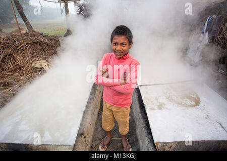 Operaio bengalese Babu, 12, bolle di sap della data Palm tree per preparare Jiggery. Foto Stock