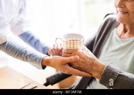 Salute e visitatori un senior donna durante la visita iniziale. Foto Stock