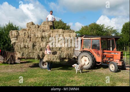 Francia, Deux Sèvres, Saint Georges de Rex, rooster agriturismo con asini nel Marais Poitevin, Venezia verde Foto Stock