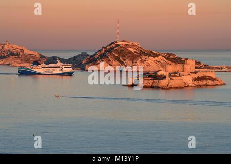 Francia, Bouches du Rhone, Marsiglia, Calanques Parco Nazionale arcipelago di isole Frioul, La Meridionale traghetto proveniente dalla Corsica e il Chateau d' If in primo piano Foto Stock