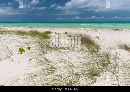 Cuba, provincia di Villa Clara, Jardines del Rey, Cayo Santa Maria Foto Stock