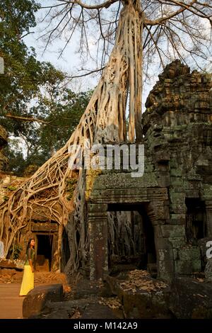 Cambogia Angkor, elencato come patrimonio mondiale dall' UNESCO, giovane donna di fronte a un ficus strangler avendo preso possesso del Ta Prohm rovine, uno dei templi della vecchia città Khmer di Angkor Thom Foto Stock