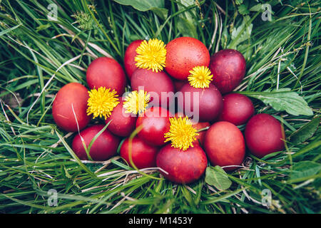 Rosso uova di pasqua sul prato con fiori e blowballs, vacanze di primavera concetto, naturalmente colorati uova di pasqua con cipolla pule. Felice Pasqua di resurrezione, Cristo Foto Stock