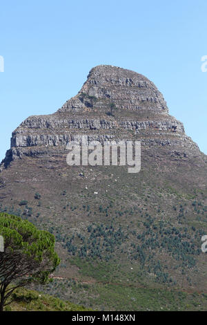 Testa di leone visto da di Table Mountain e Cape Town, Western Cape, Sud Africa. Foto Stock