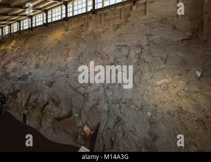 Il Grande Muro dentro la cava presentano Hall presso il dinosauro monumento nazionale, Utah. Il grande muro di ossa ha oltre 1500 fossili incastonato nella roccia Foto Stock