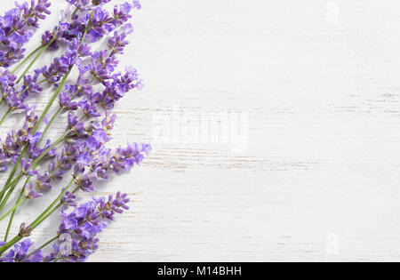 Ciuffi di lavanda su legno malandata sfondo. Foto Stock