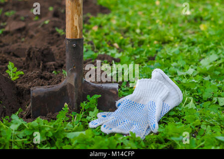Una pala e un coltivatore guanti da lavoro con un erba verde nella parte anteriore e un scavato il terreno dietro. Close-up shot. Foto Stock