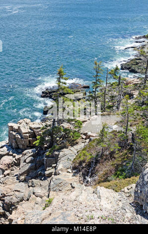 Cercando di discesa lungo il ripido sentiero a Otter Cliffs, Parco Nazionale di Acadia, Maine. Foto Stock