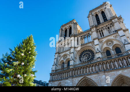 Parigi, Francia: cattedrale medievale di Notre Dame de Paris e l'albero di Natale decorato nella parte anteriore. Foto Stock