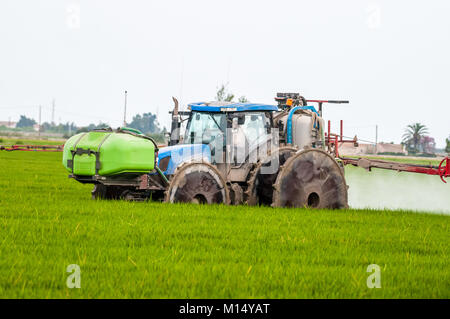 Il trattore la fumigazione di campi di riso, il delta del fiume Ebro, Tarragona Catalogna Foto Stock