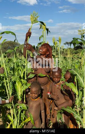 Etiopia, bassa valle dell'Omo elencati come patrimonio mondiale dall' UNESCO, Hamer tribe, Sorgo è la base del cibo Foto Stock