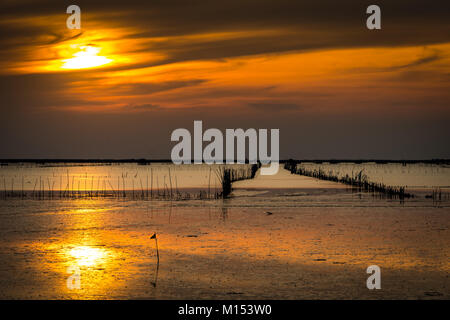 Riva del mare con un basso livello di acqua, shell farm con secchi di bambù e di argilla in serata con cielo arancione e le nuvole. Bel Tramonto nel mare tropicale. Foto Stock