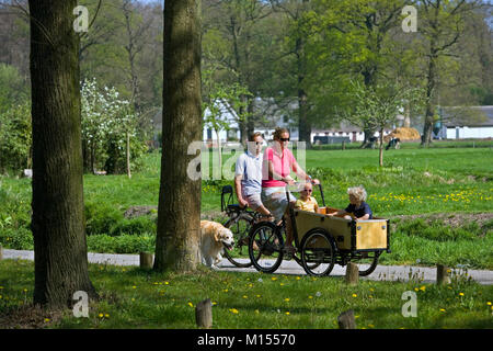 I Paesi Bassi, 's-Graveland. Madre e 2 bambini in atto in bicicletta. Padre e Golden Retriever cane. Foto Stock