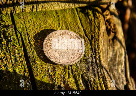 Rare Impero Russo rublo argento moneta 1854 su un vecchio ceppo di legno ricoperta di muschio. Foto Stock