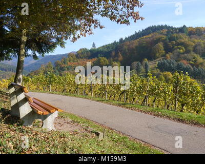 Banco di vuoto che guarda ai vigneti e le montagne coperte di colore di autunno in Gengenbach zona della Foresta Nera della Germania Foto Stock