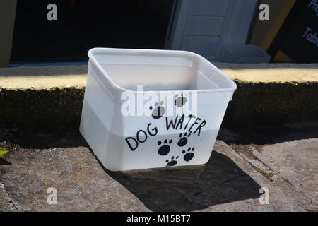 Dog Water Bowl al caffè, Lizard Point sulla Lizard Peninsula, Cornovaglia, Inghilterra, Regno Unito. Foto Stock