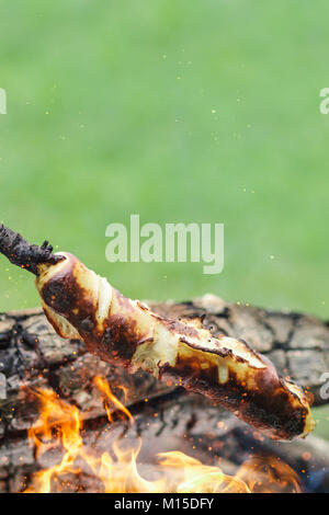 Barbecue bianco salsiccia a bastone di legno grigliare sul caminetto di fronte a uno sfondo verde Foto Stock