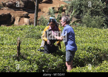 La piantagione di tè Nuwara Eliya Hill Country provincia centrale dello Sri Lanka Tourist mostra raccoglitrice di tè fotografia presa sulla sua macchina fotografica Foto Stock
