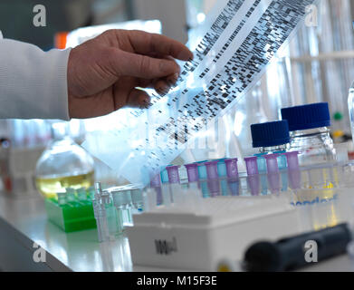 Modello rilasciato. Scienziato tenendo un DNA (acido desossiribonucleico) autoradiogramma rivelando il patrimonio genetico di un campione. Foto Stock