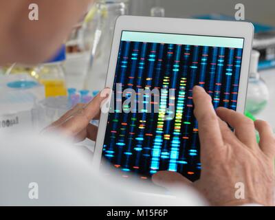 Modello rilasciato. Scienziato visualizzazione dei risultati di un test genetico su una tavoletta digitale. Foto Stock