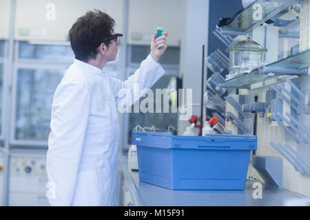 Farmacia lavorando nel laboratorio farmaceutico. Foto Stock