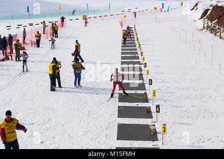 Smetanino, Verkhovazhsky distretto, Vologda regione, Russia - 22 Marzo 2014: una superiorità di Vologda regione, la Russia. Biathlon pneumatico premi due volte Oly Foto Stock