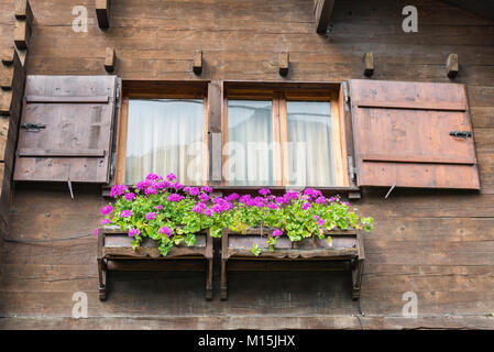 Finestra tipica con fiori di un chalet in legno sulle Alpi. Facciata di una casa di montagna con due fiori in legno Scatole con gerani fucsia Foto Stock